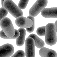 Microbiome
